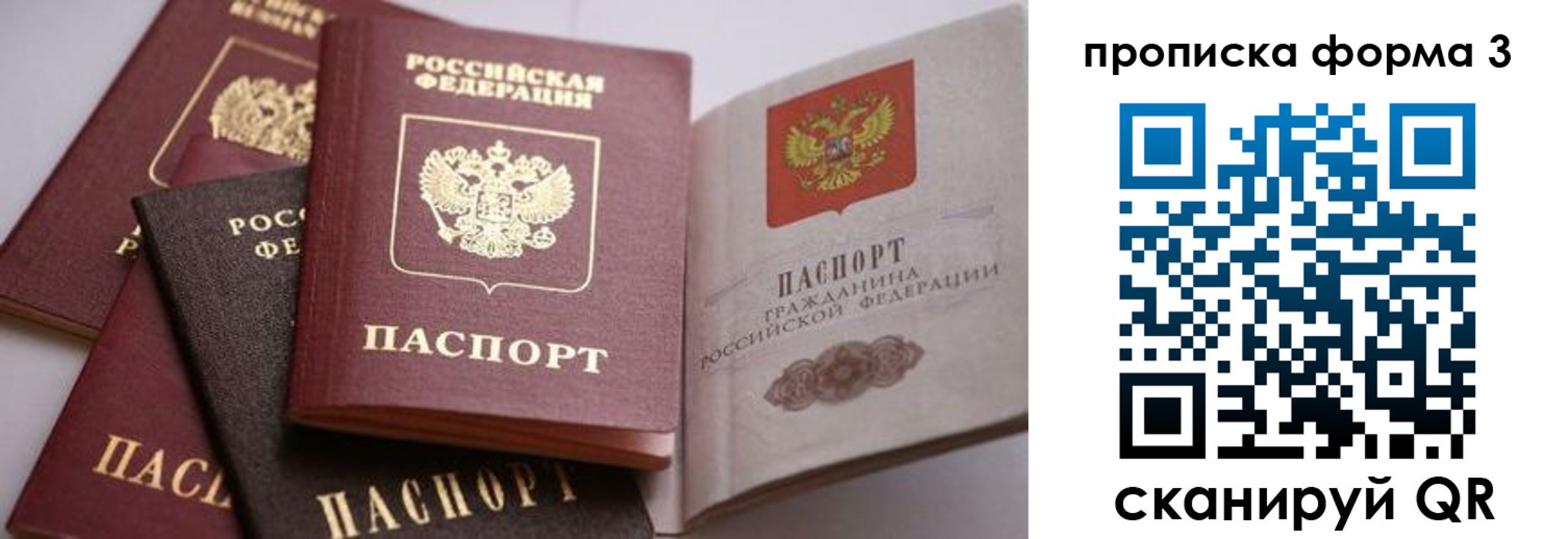 прописка для школы в Пугачёве